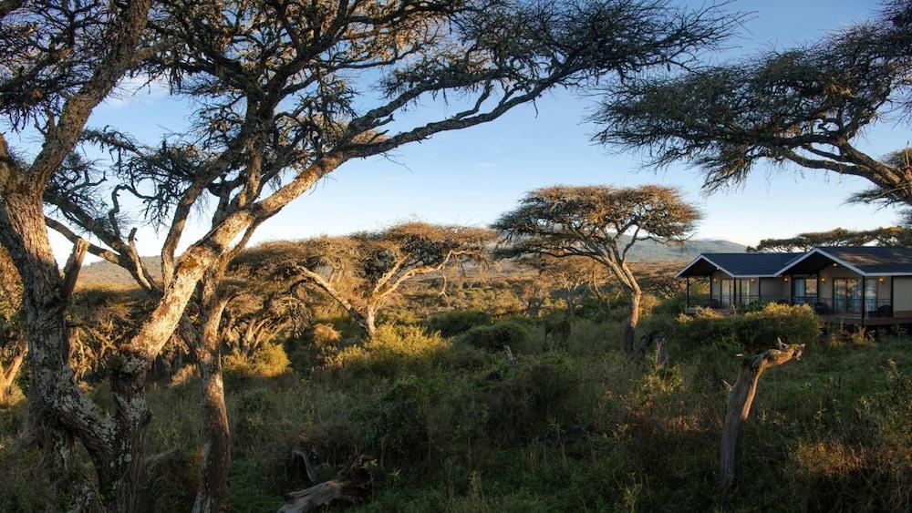 Karibu Camps And Lodges Lions Paw Ngorongoro Karatu Exteriér fotografie
